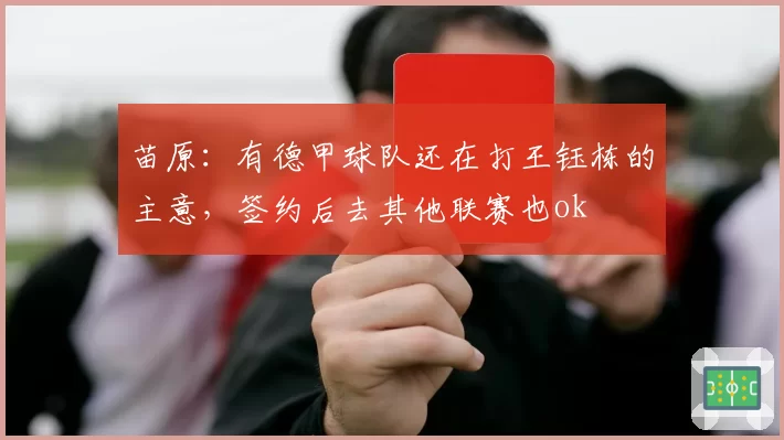 苗原:有德甲球队还在打王钰栋的主意,签约后去其他联赛也ok